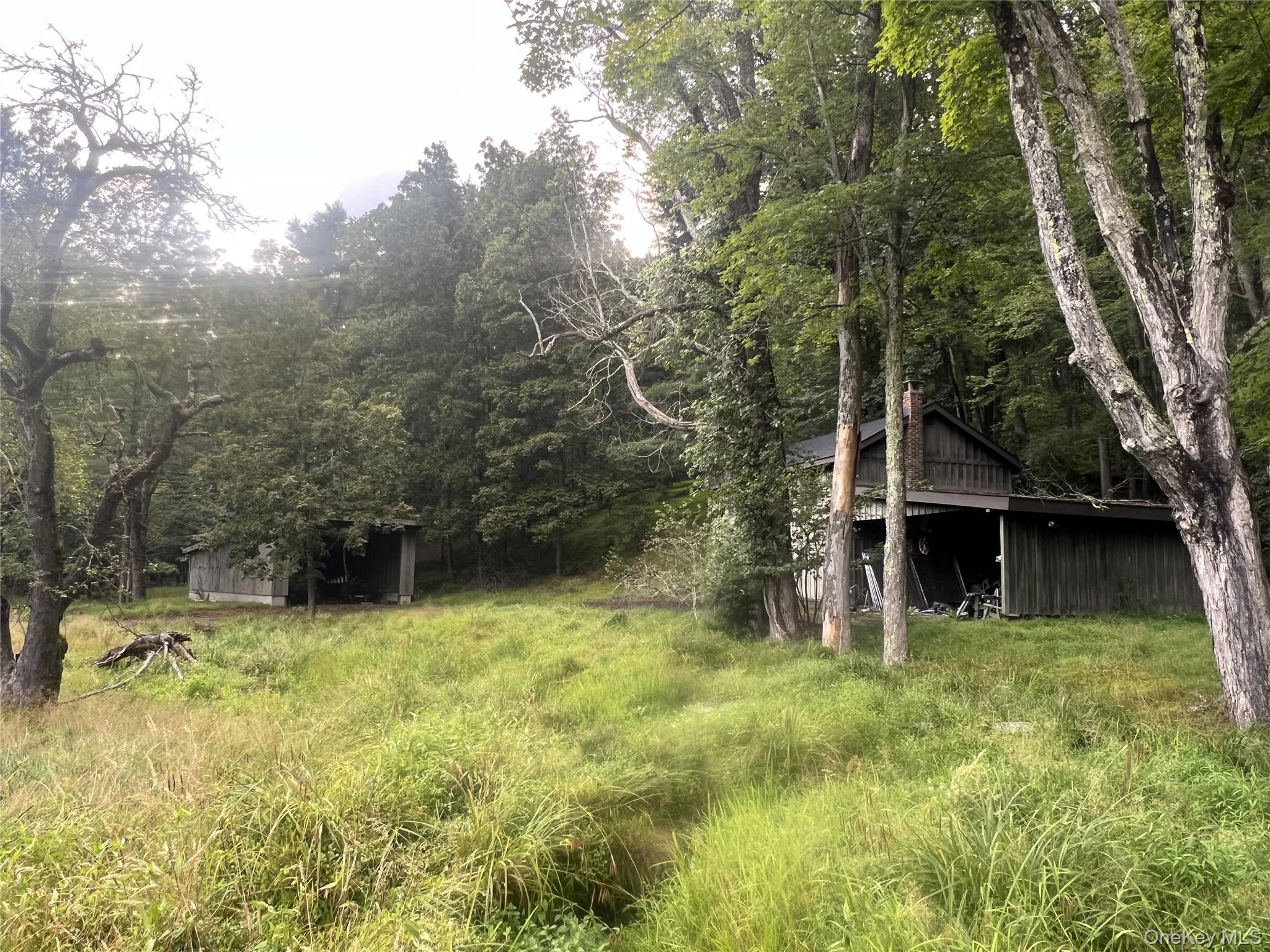 259 Lackawaxen Road Property Photo 28