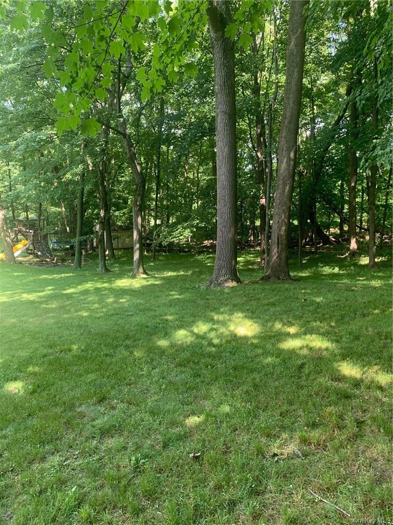 5 Park Avenue Property Photo 28