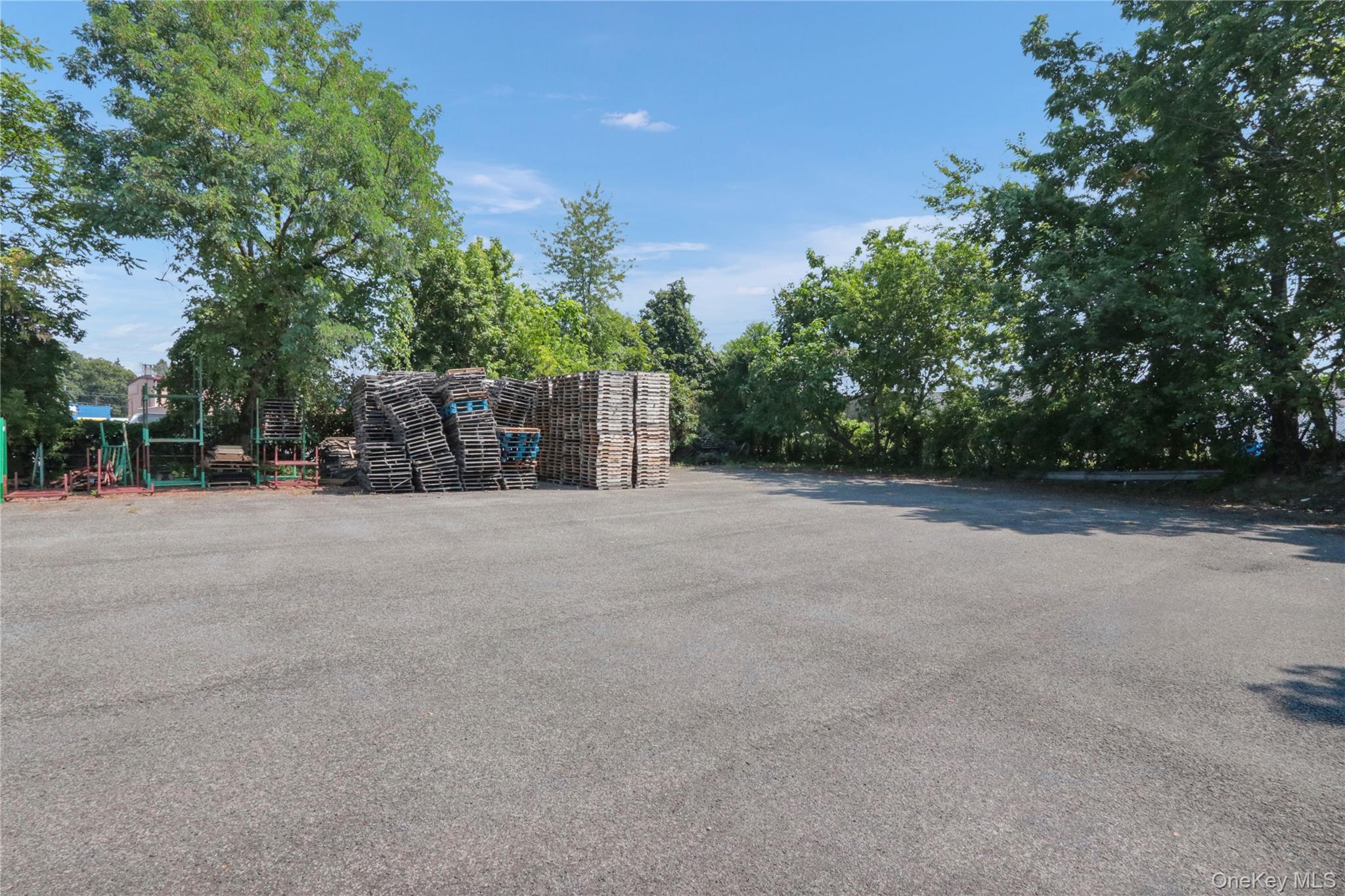 453 Broadway Property Photo 39