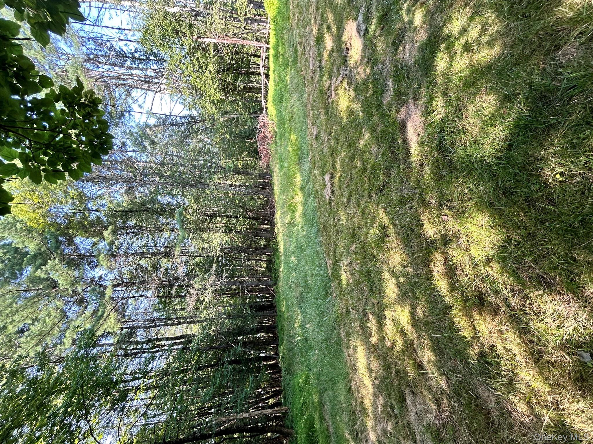 98 Buff Road Property Photo 13