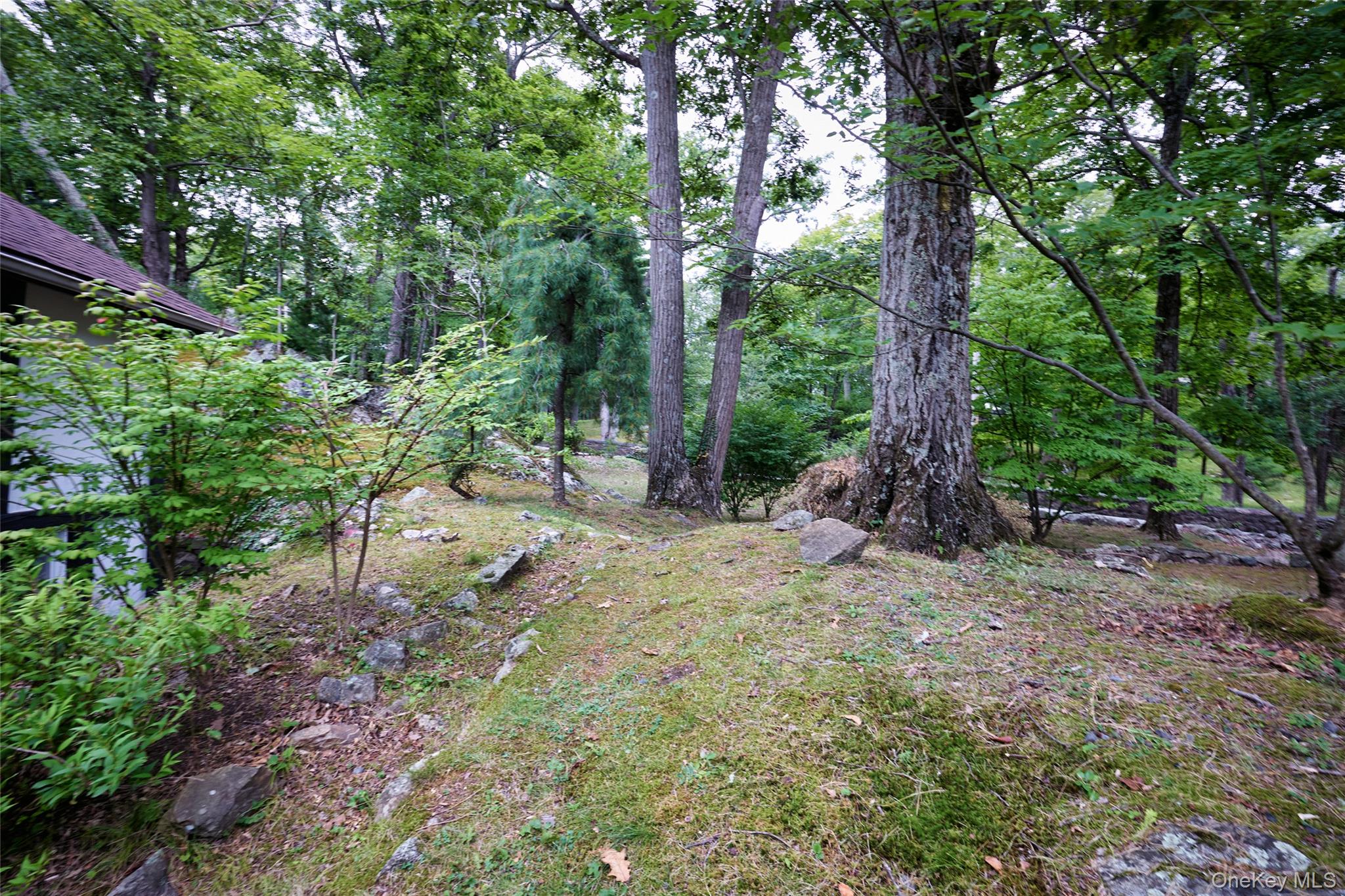 93 Circuit Road Property Photo 30