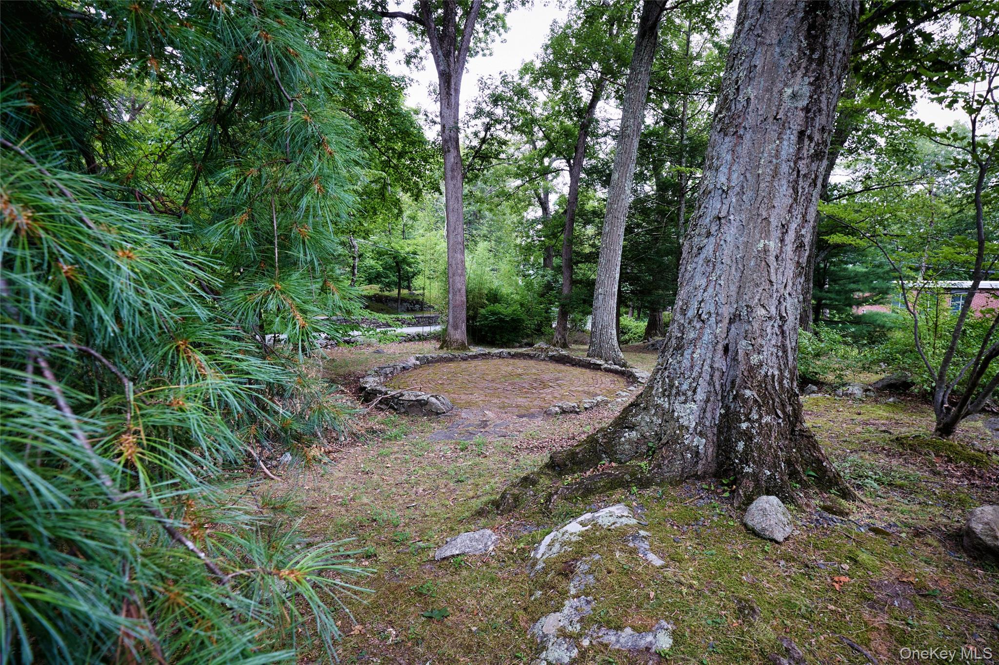 93 Circuit Road Property Photo 34