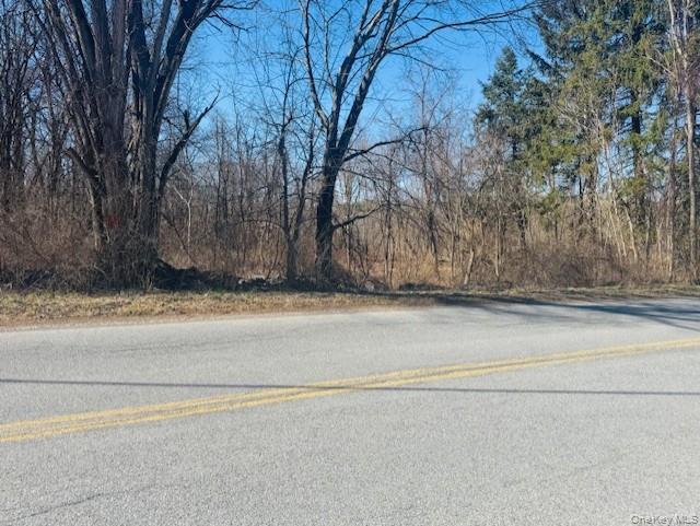 0 Cramer Road Property Photo 2