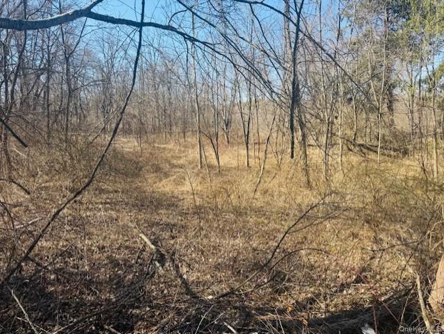 0 Cramer Road Property Photo 5