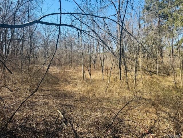 0 Cramer Road Property Photo 6