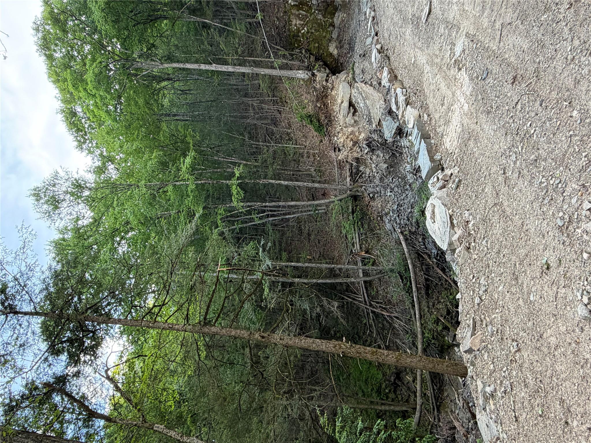 201 Basket Brook Rd Property Photo 37