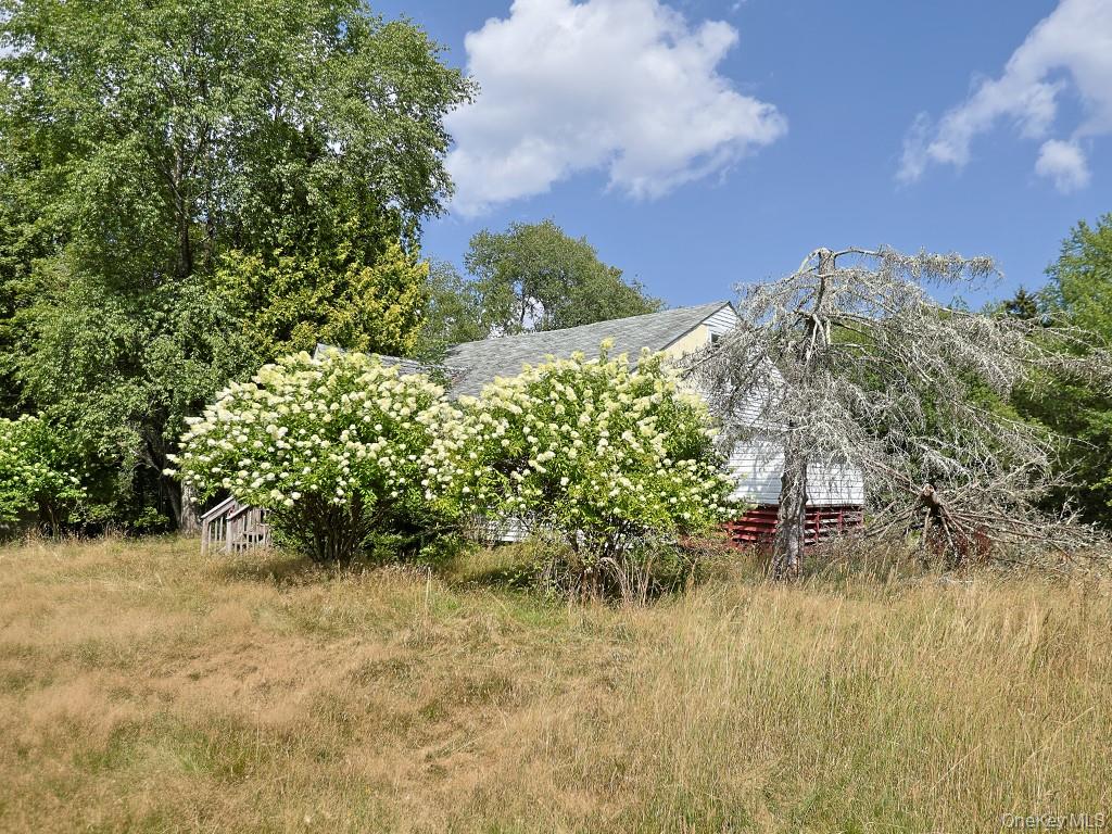 3560 State Route 42 Property Photo 3