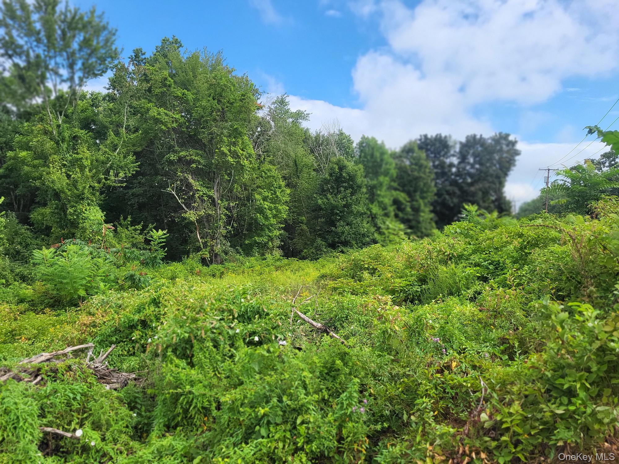 W Nys Rte 208 Highway (bona Ventura) Avenue Property Photo 1