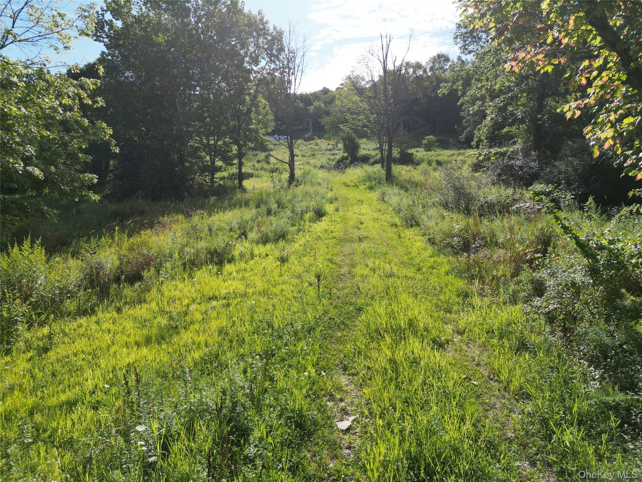 36 Gem Mountain Property Photo 6