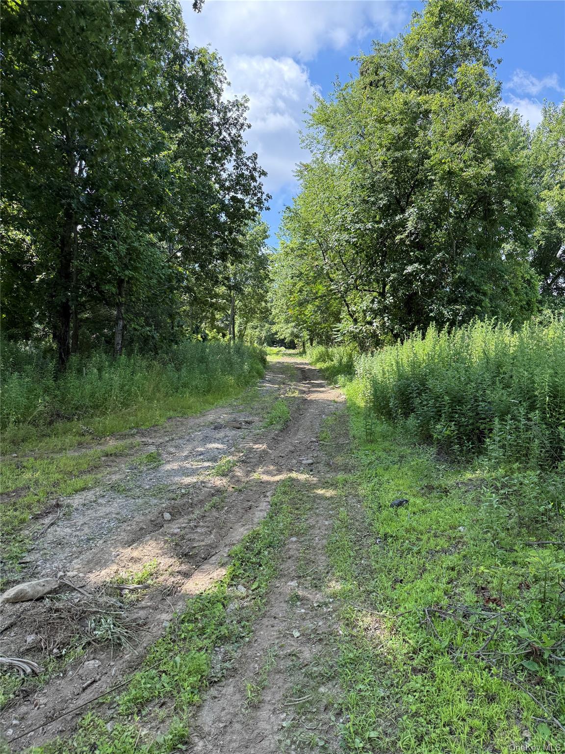 36 Gem Mountain Property Photo 14