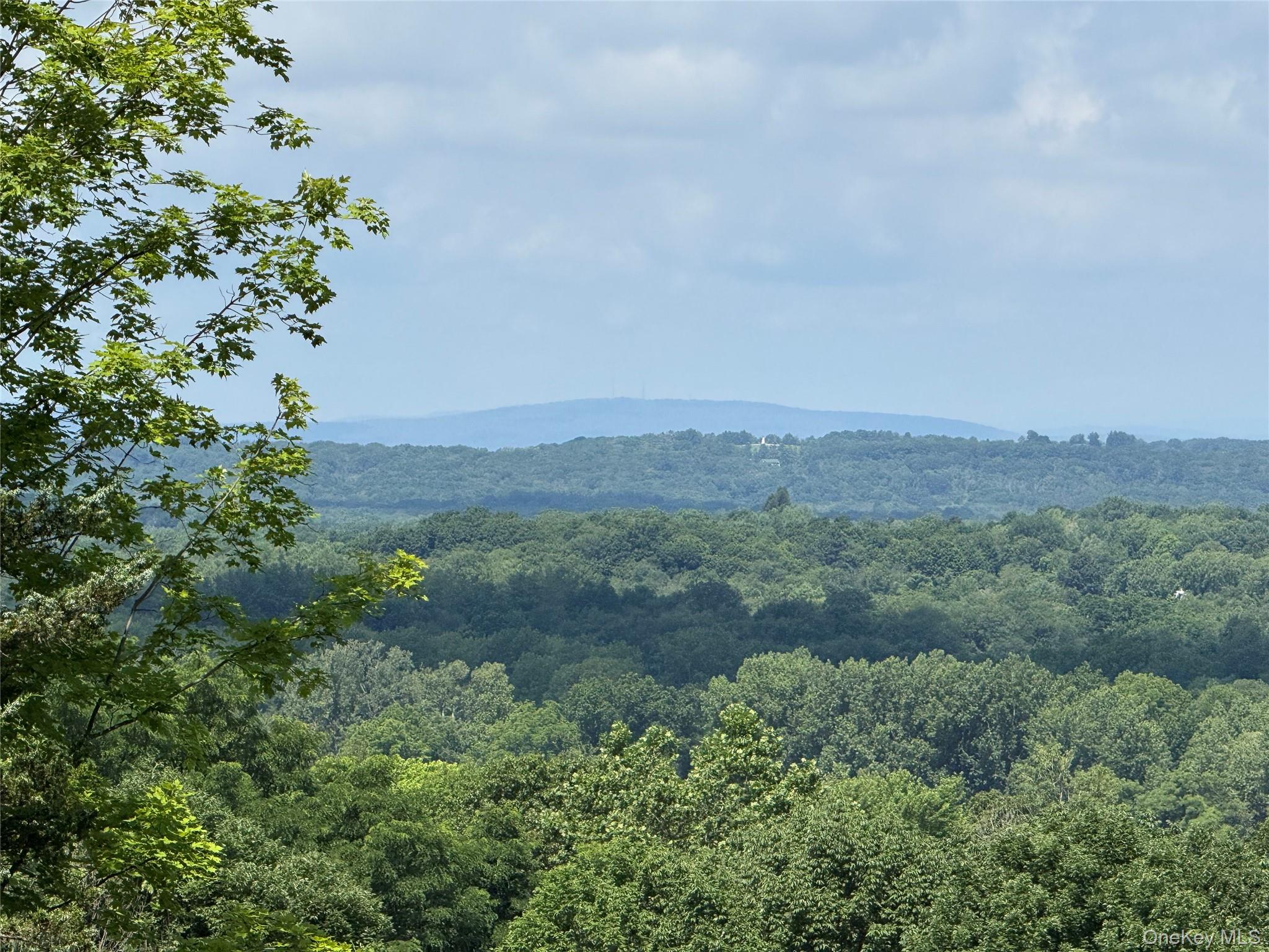 36 Gem Mountain Property Photo 21