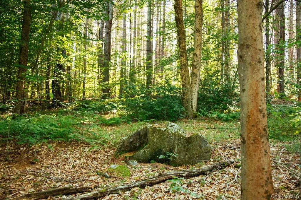 Lot 1 Woodstone Trail Property Photo 2