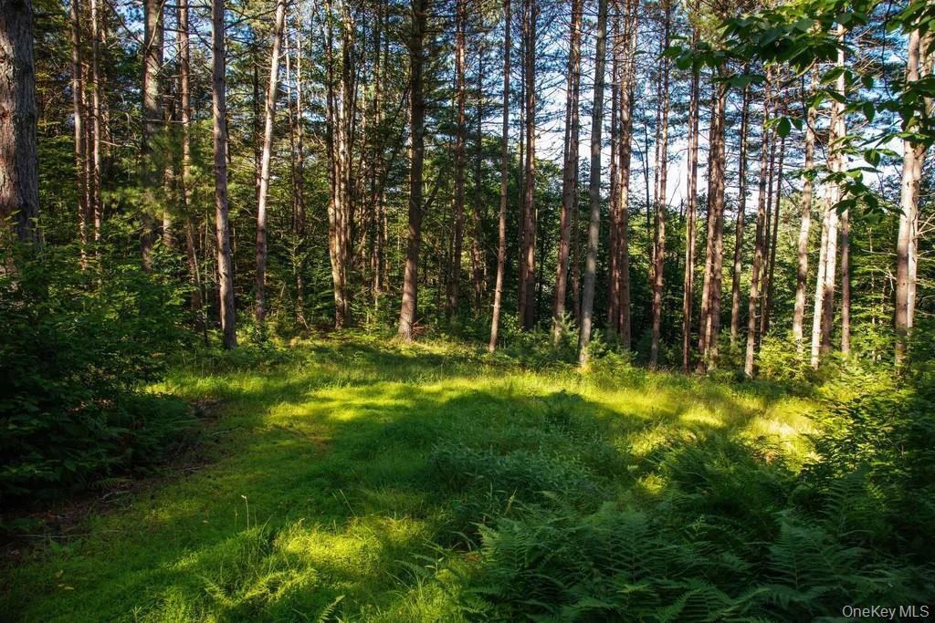 Lot 1 Woodstone Trail Property Photo 3