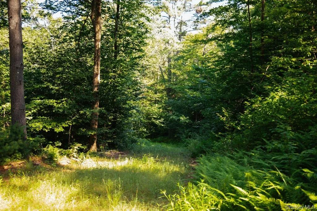 Lot 1 Woodstone Trail Property Photo 4