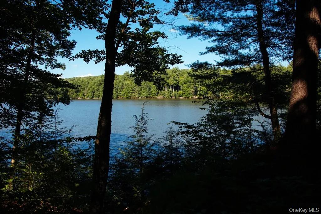Lot 2 Woodstone Trail Property Photo 2