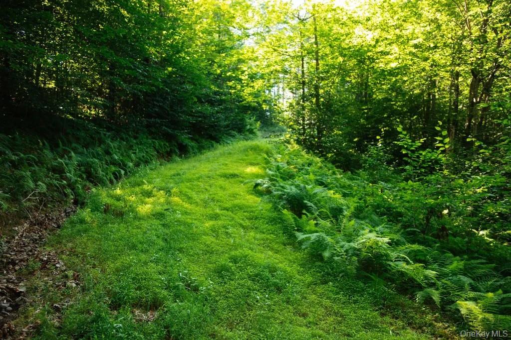 Lot 2 Woodstone Trail Property Photo 4
