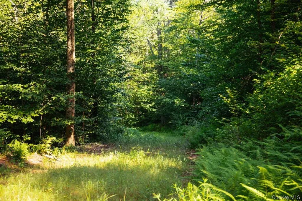 Lot 2 Woodstone Trail Property Photo 5