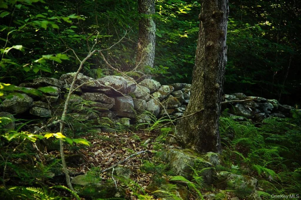 Lot 2 Woodstone Trail Property Photo 6