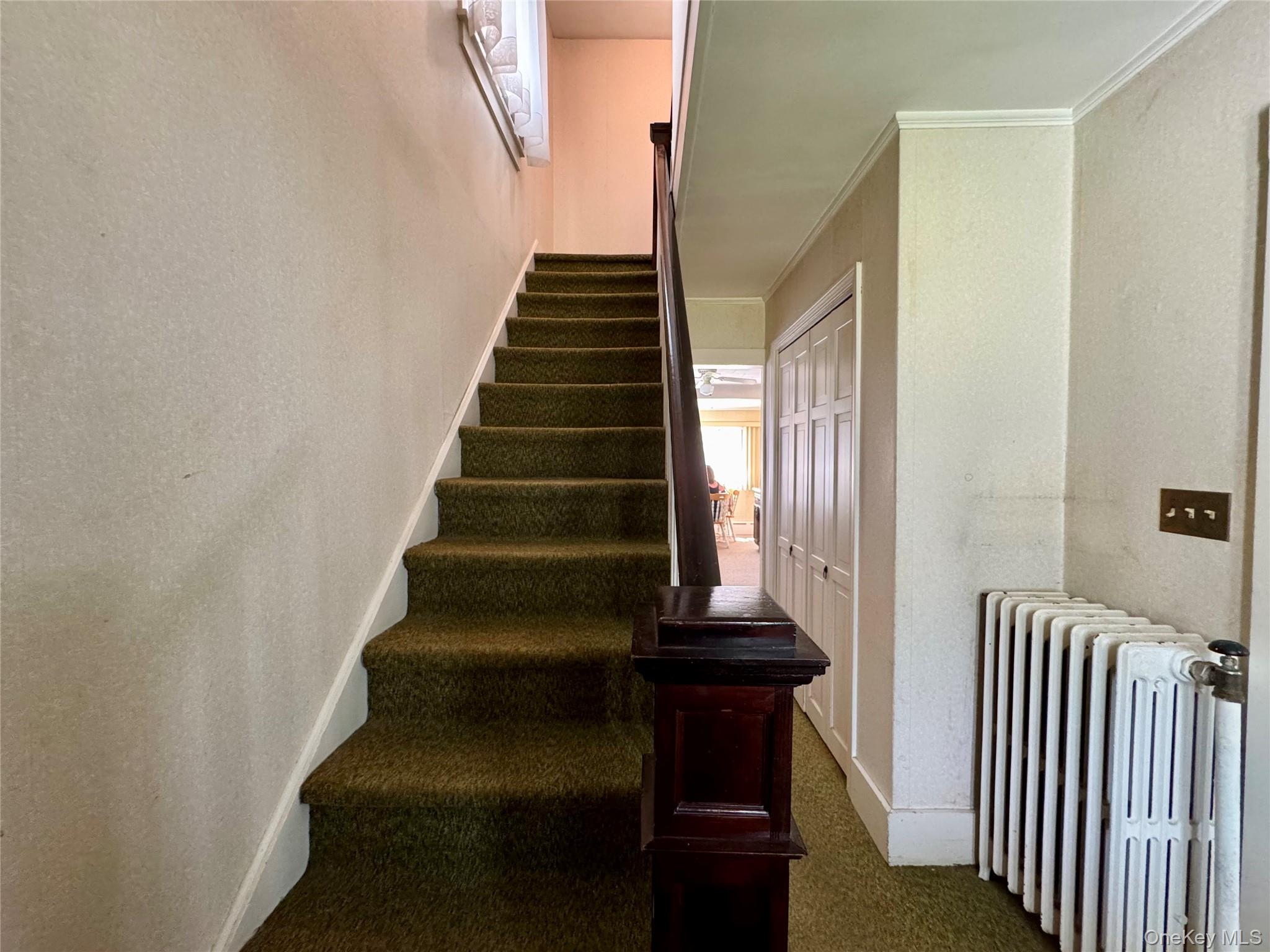 36 Jones Street Property Photo 4