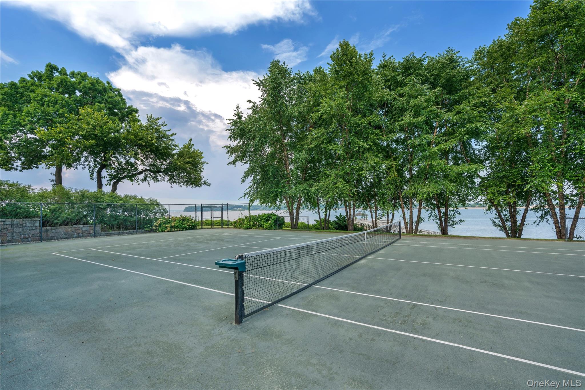227 Dock Lane Property Photo 37