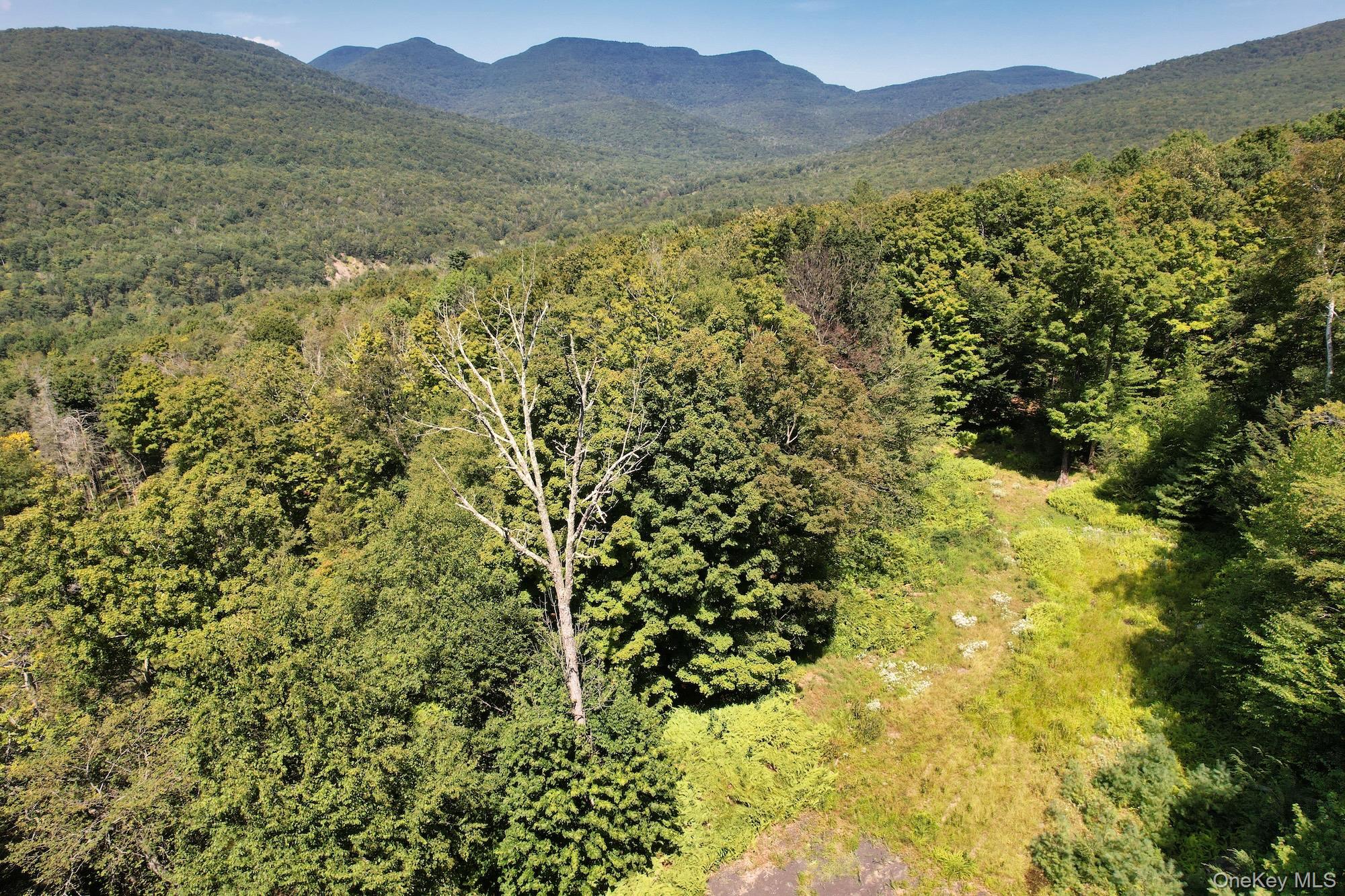 Tbd Macdaniel Road Property Photo 1