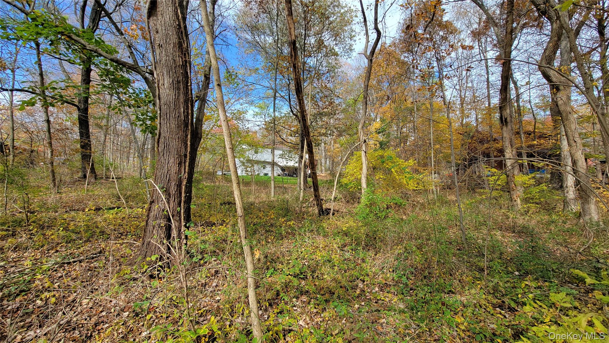 15 Rose Estates Property Photo 6