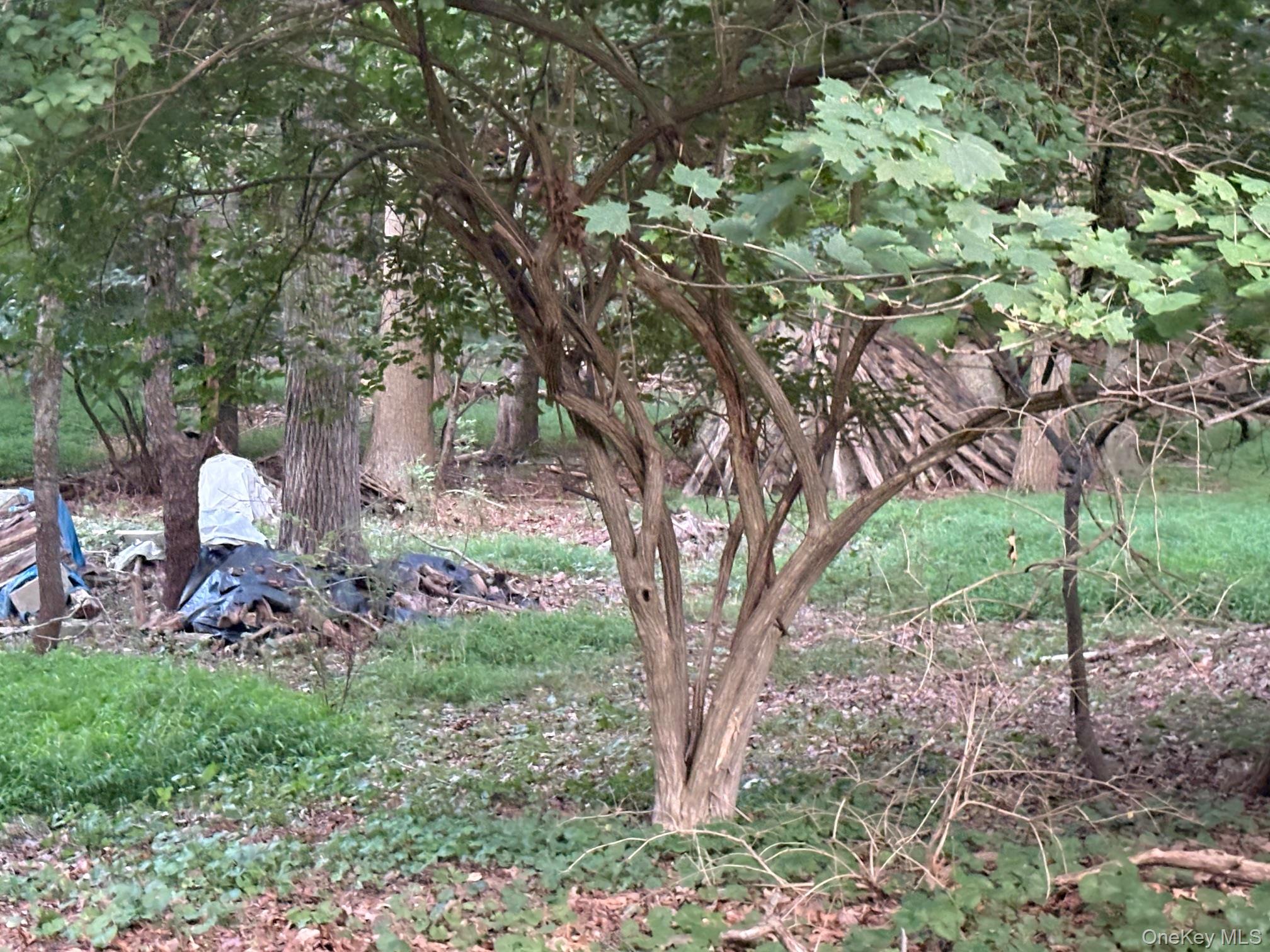 Dark Hollow Road Property Photo 3