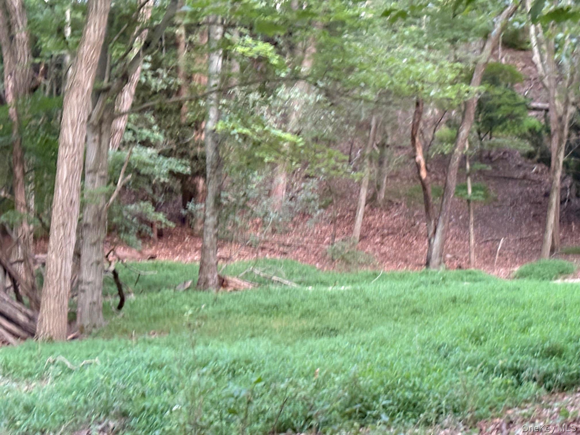 Dark Hollow Road Property Photo 4