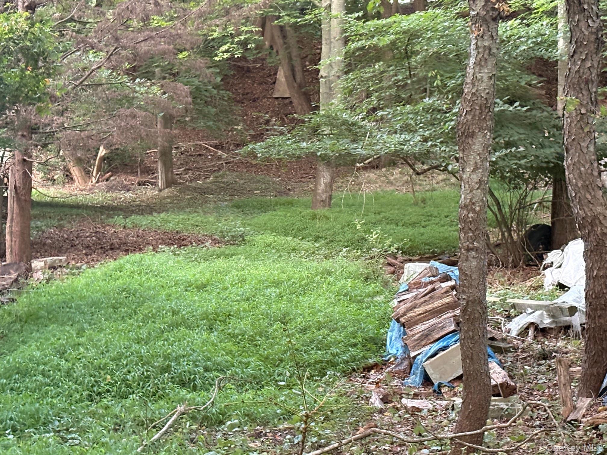 Dark Hollow Road Property Photo 5