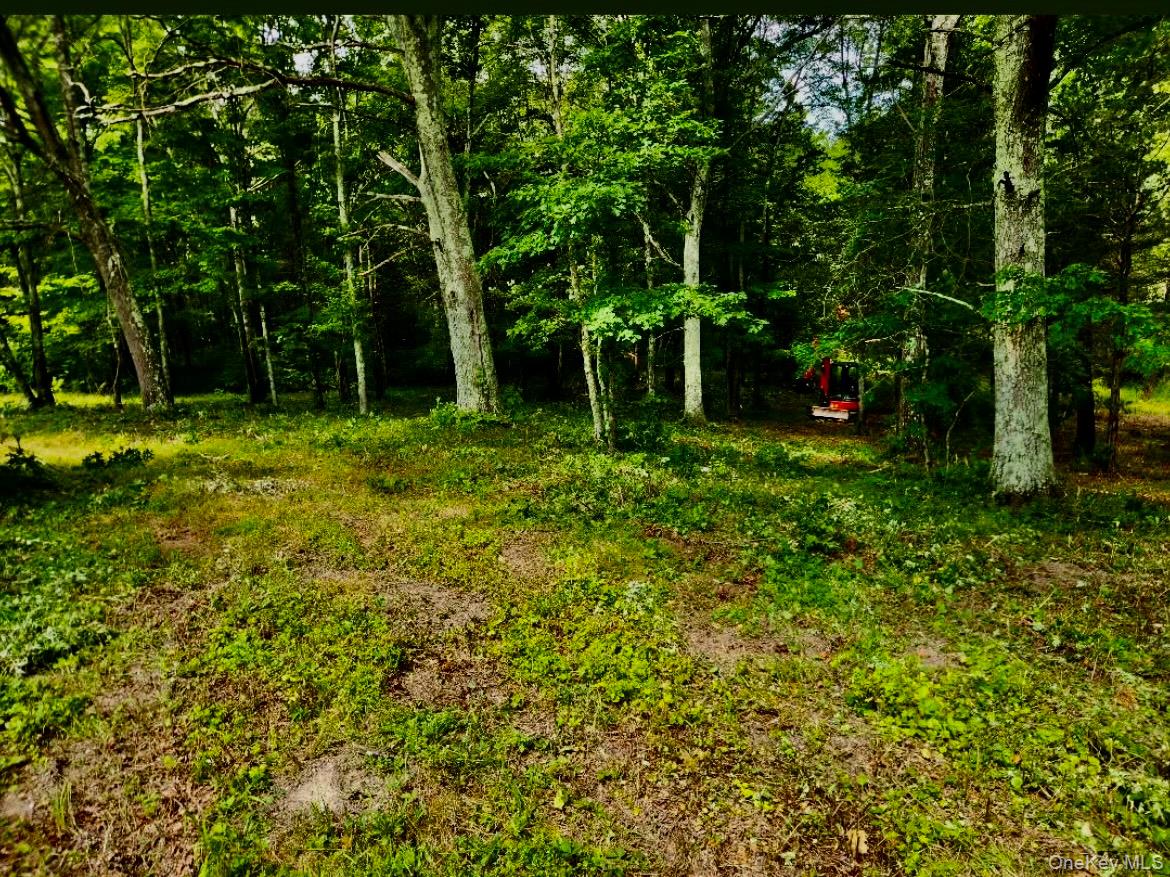 12 Talleur Road Property Photo 1