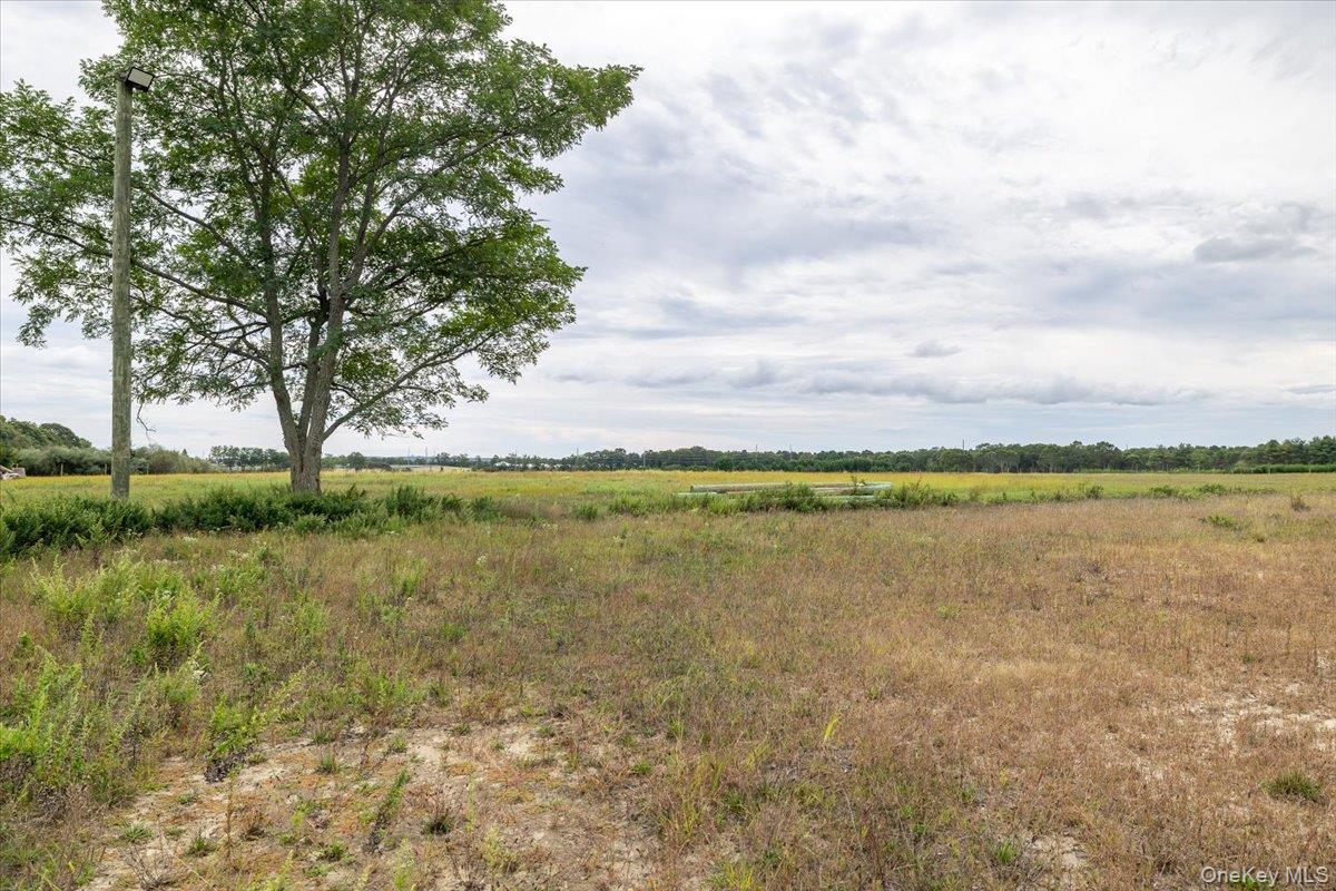 1535 Middle Road Property Photo 6