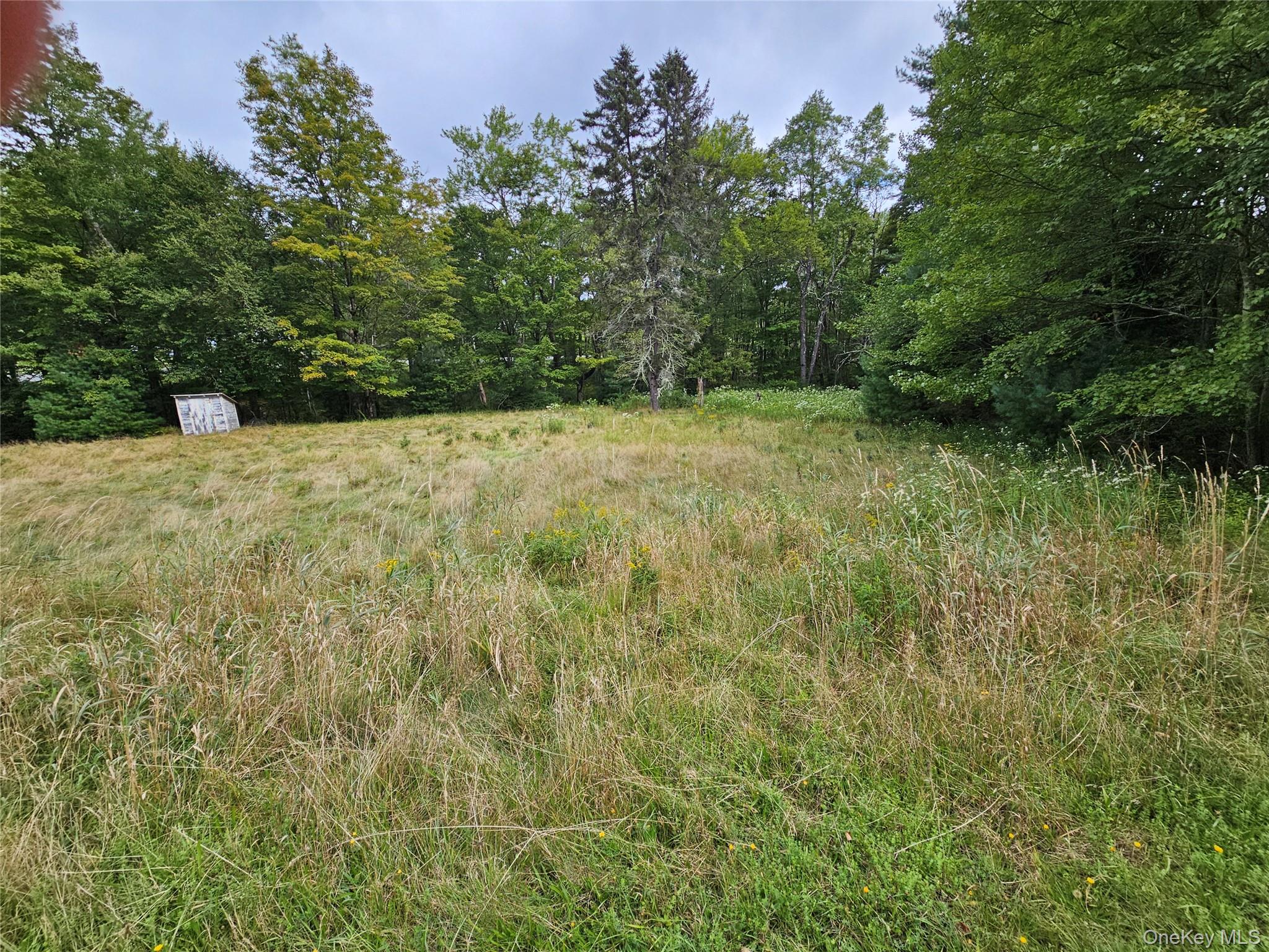Flower Ave. & State Route 55 Property Photo 1