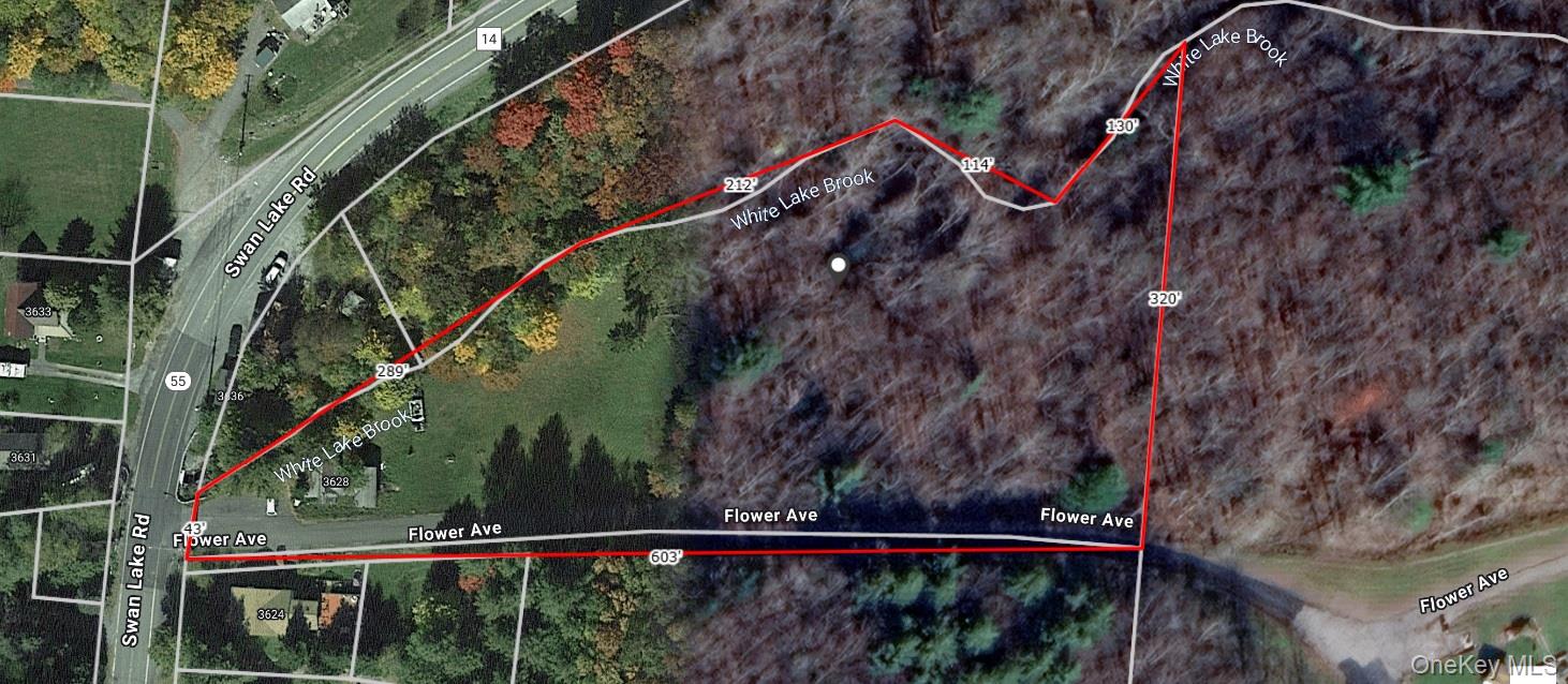 Flower Ave. & State Route 55 Property Photo 2