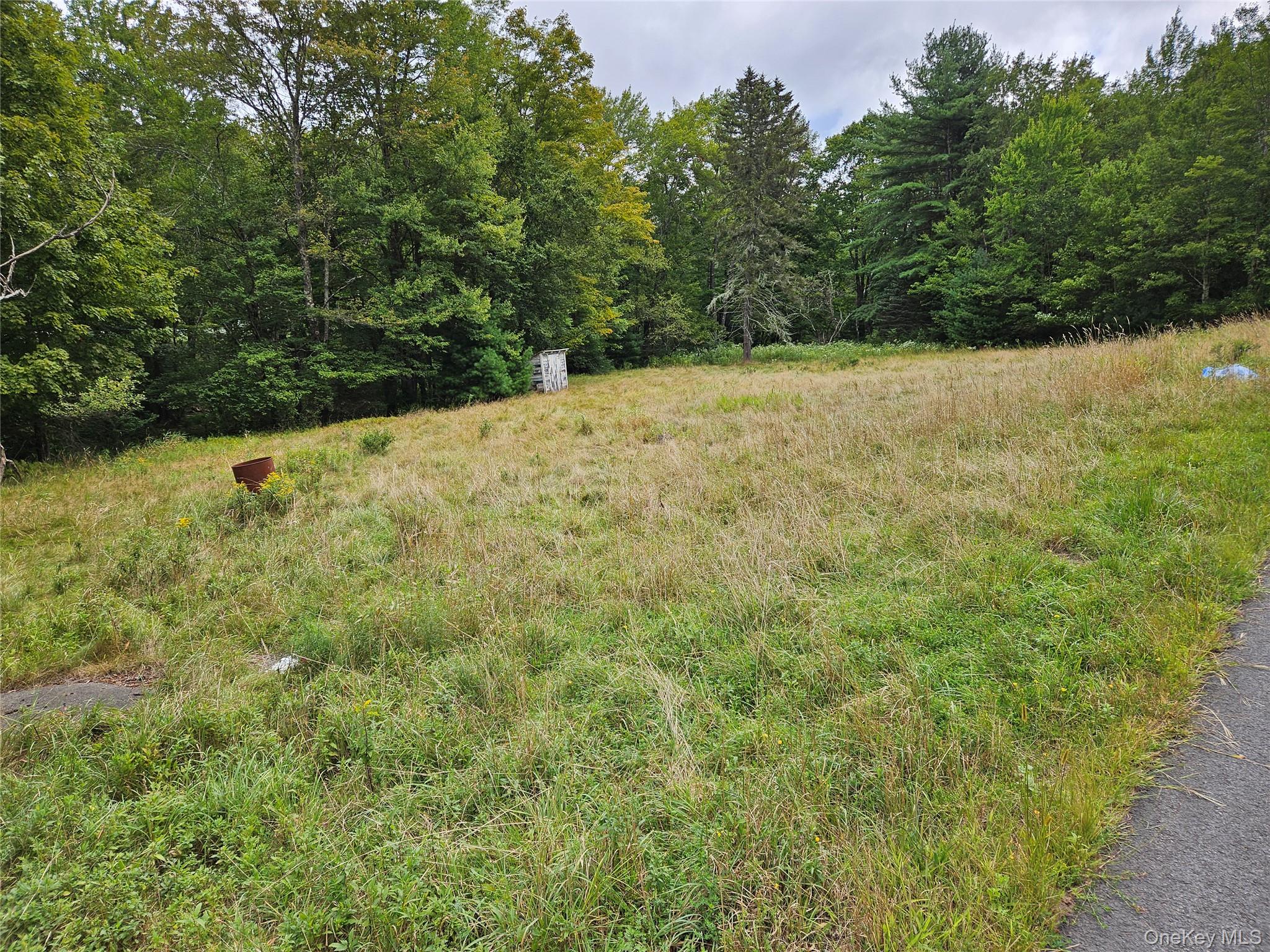 Flower Ave. & State Route 55 Property Photo 4