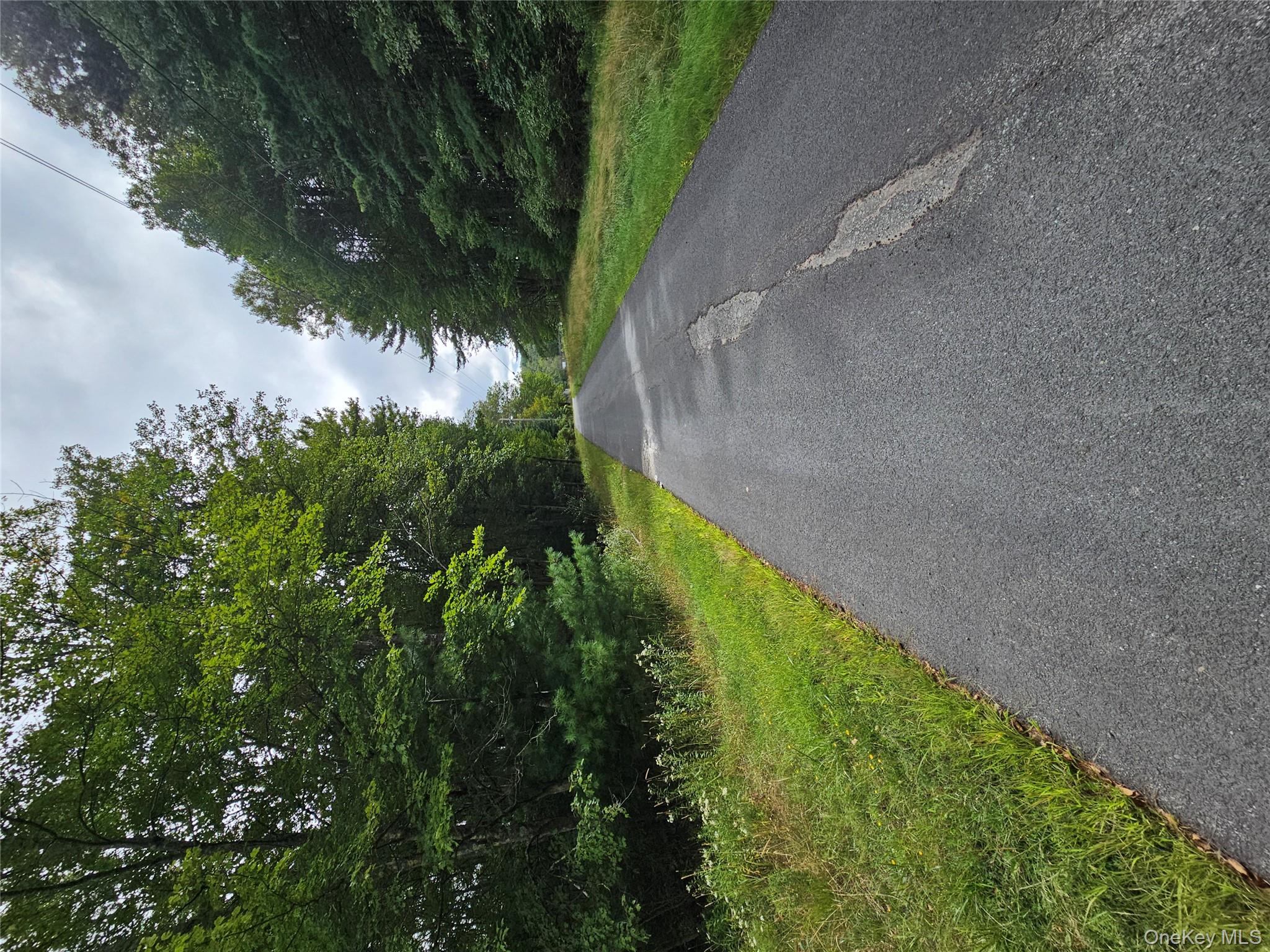 Flower Ave. & State Route 55 Property Photo 6