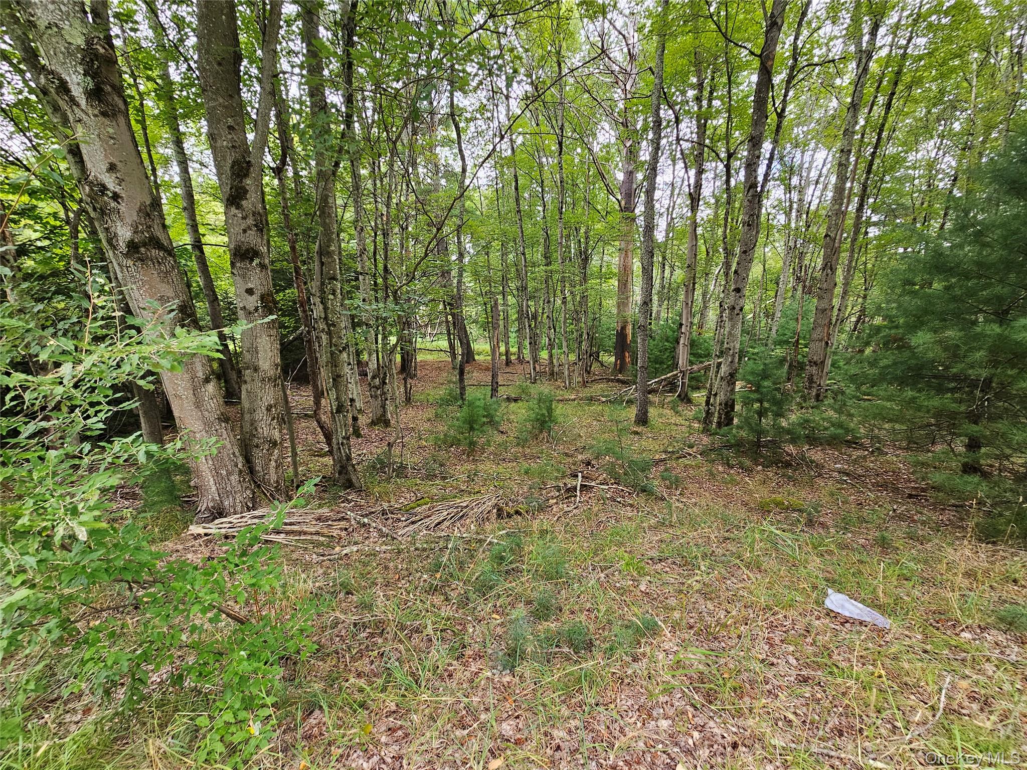 Flower Ave. & State Route 55 Property Photo 8
