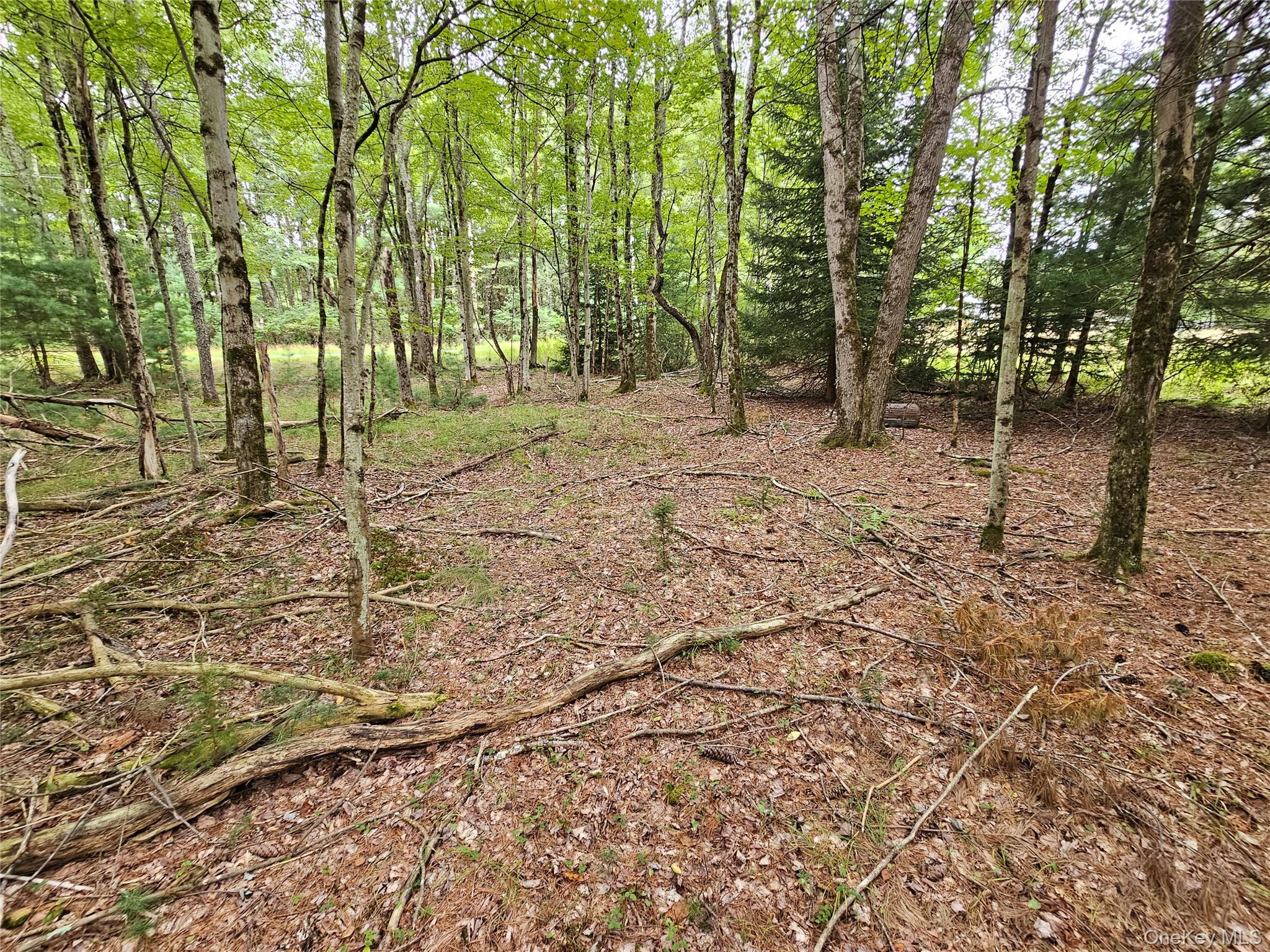 Flower Ave. & State Route 55 Property Photo 9