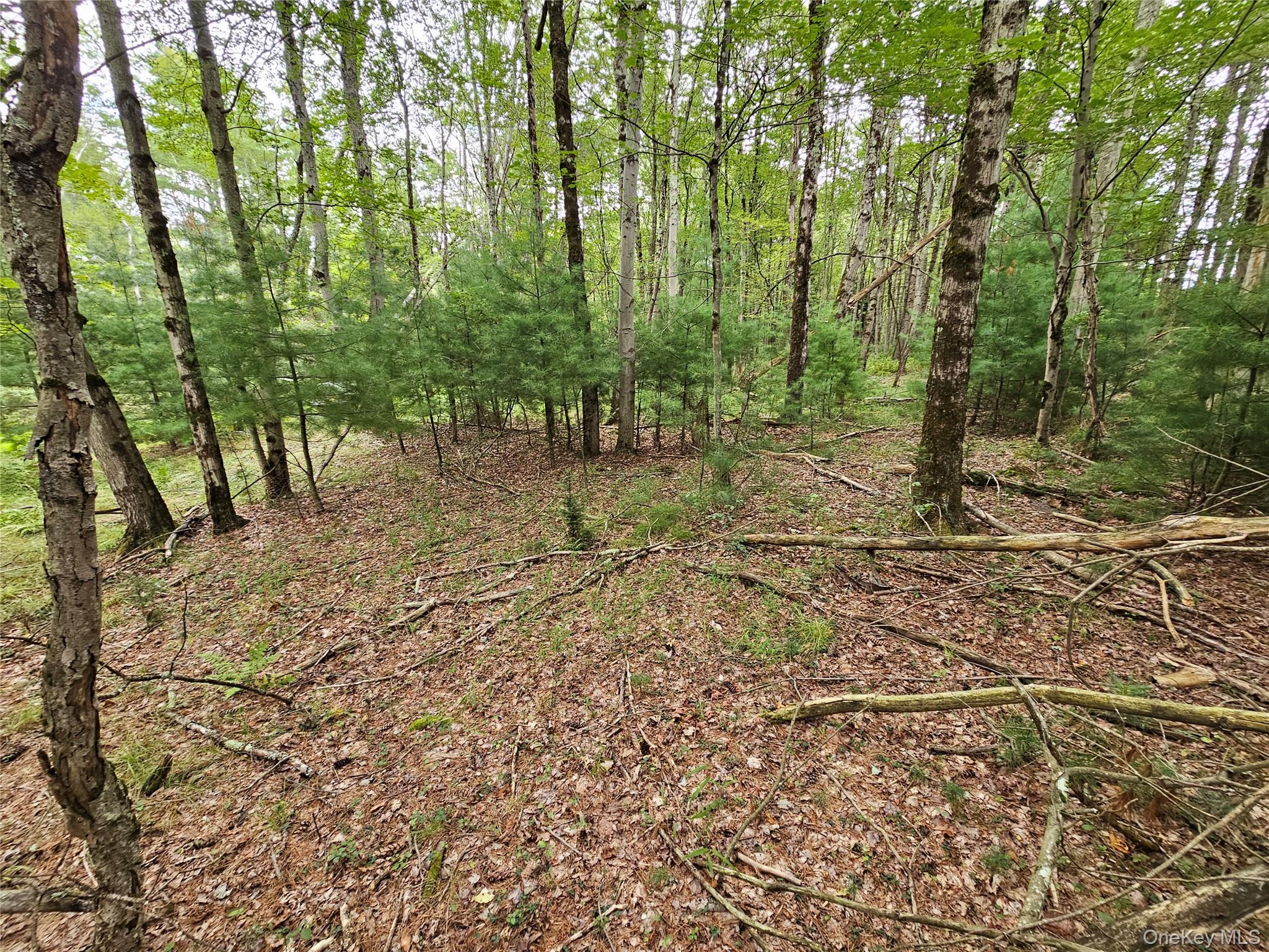 Flower Ave. & State Route 55 Property Photo 10