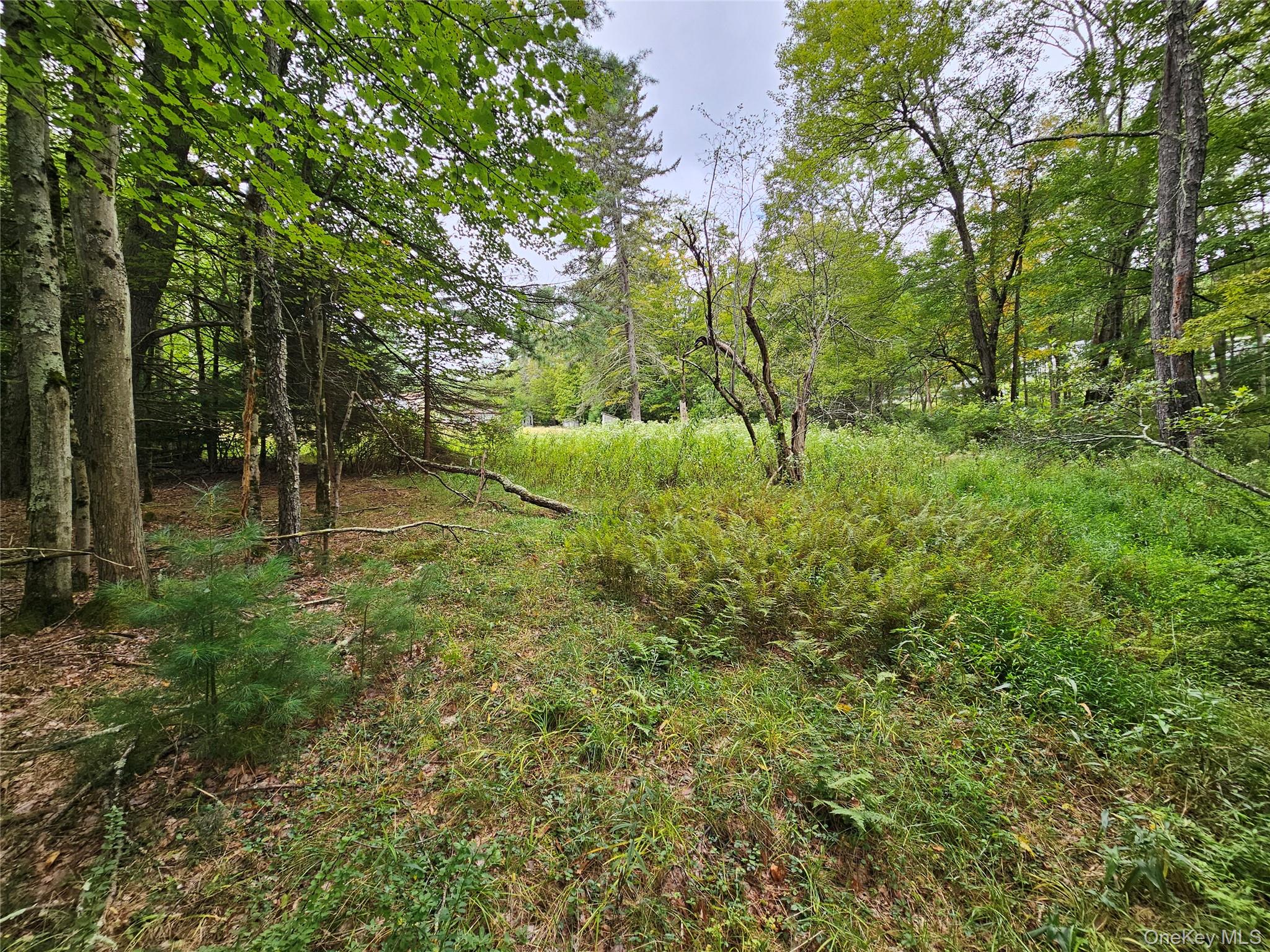 Flower Ave. & State Route 55 Property Photo 11