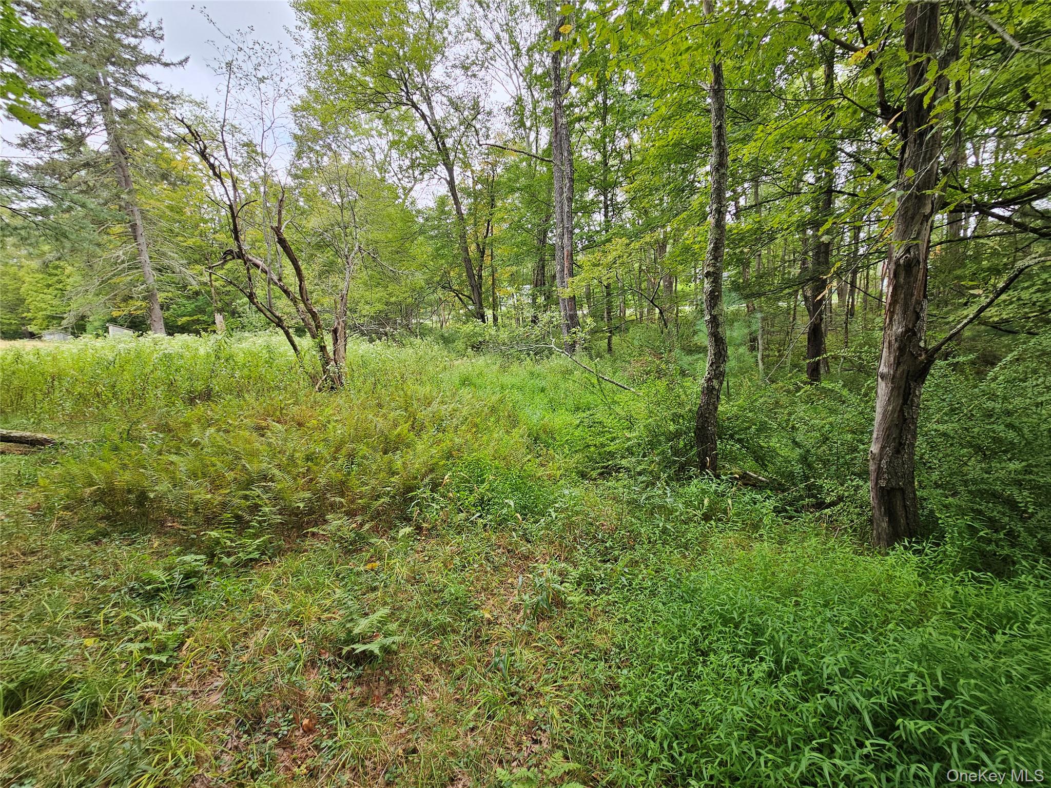 Flower Ave. & State Route 55 Property Photo 12
