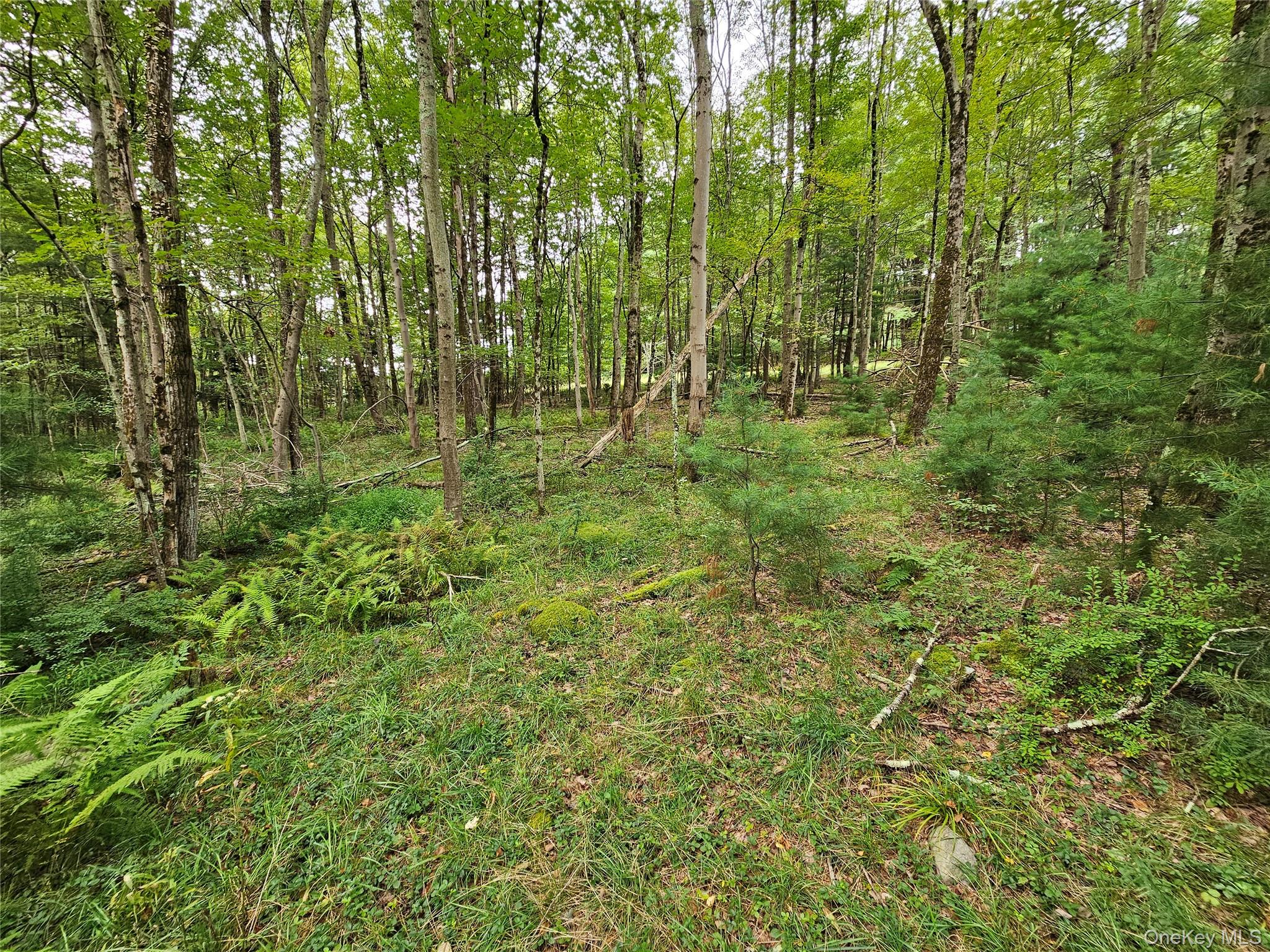 Flower Ave. & State Route 55 Property Photo 13