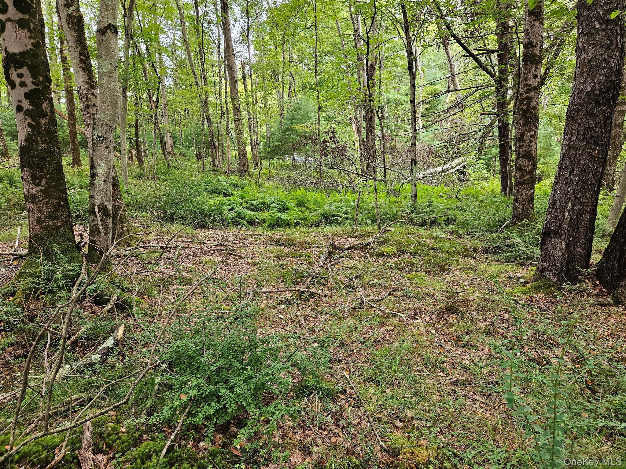Flower Ave. & State Route 55 Property Photo 18