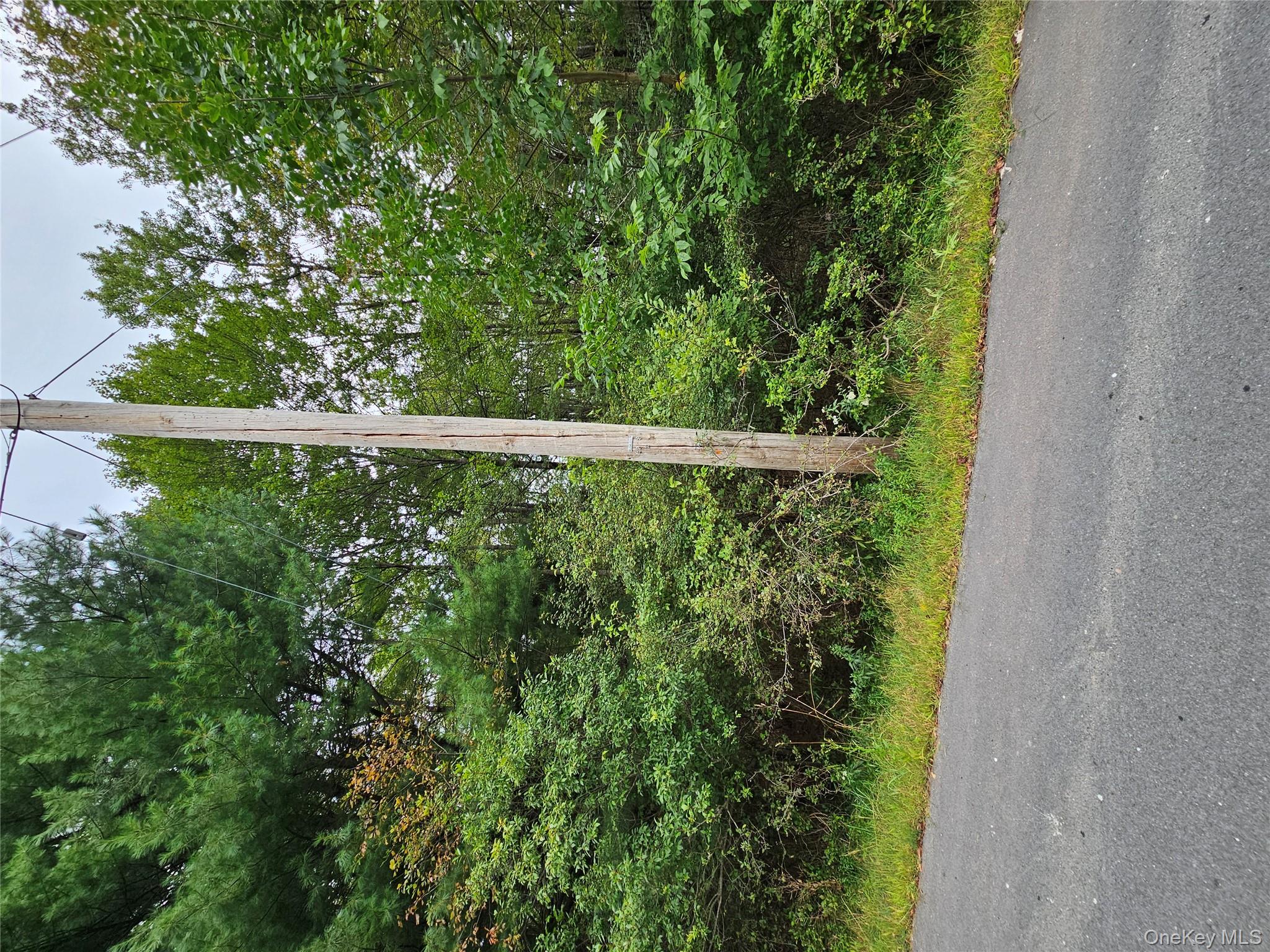 Flower Ave. & State Route 55 Property Photo 20
