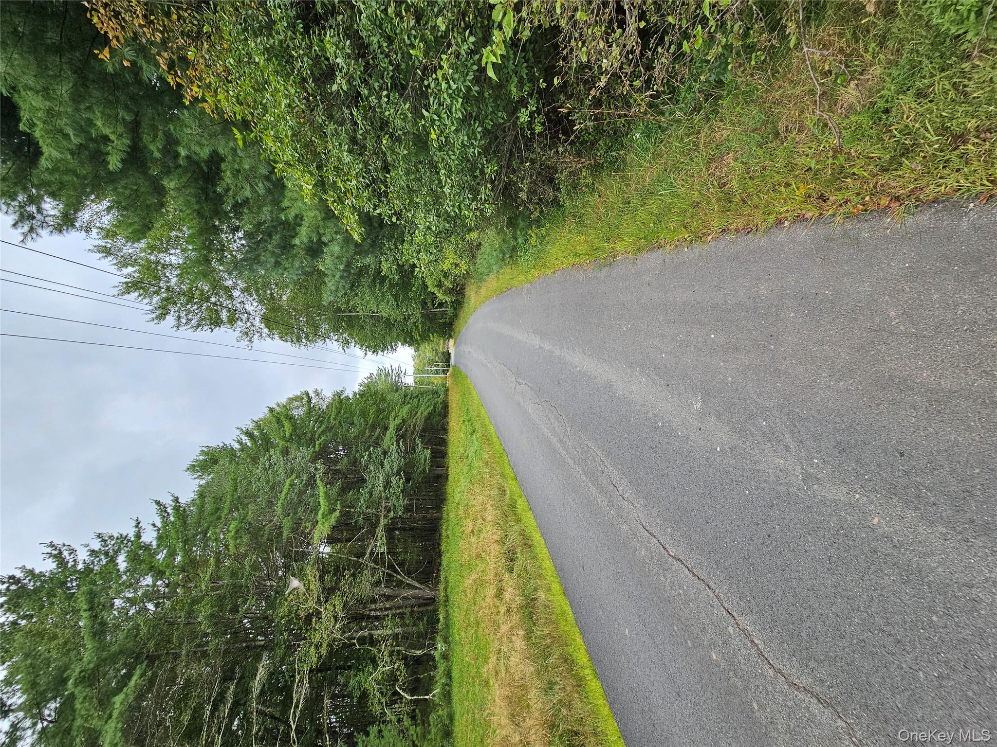 Flower Ave. & State Route 55 Property Photo 21