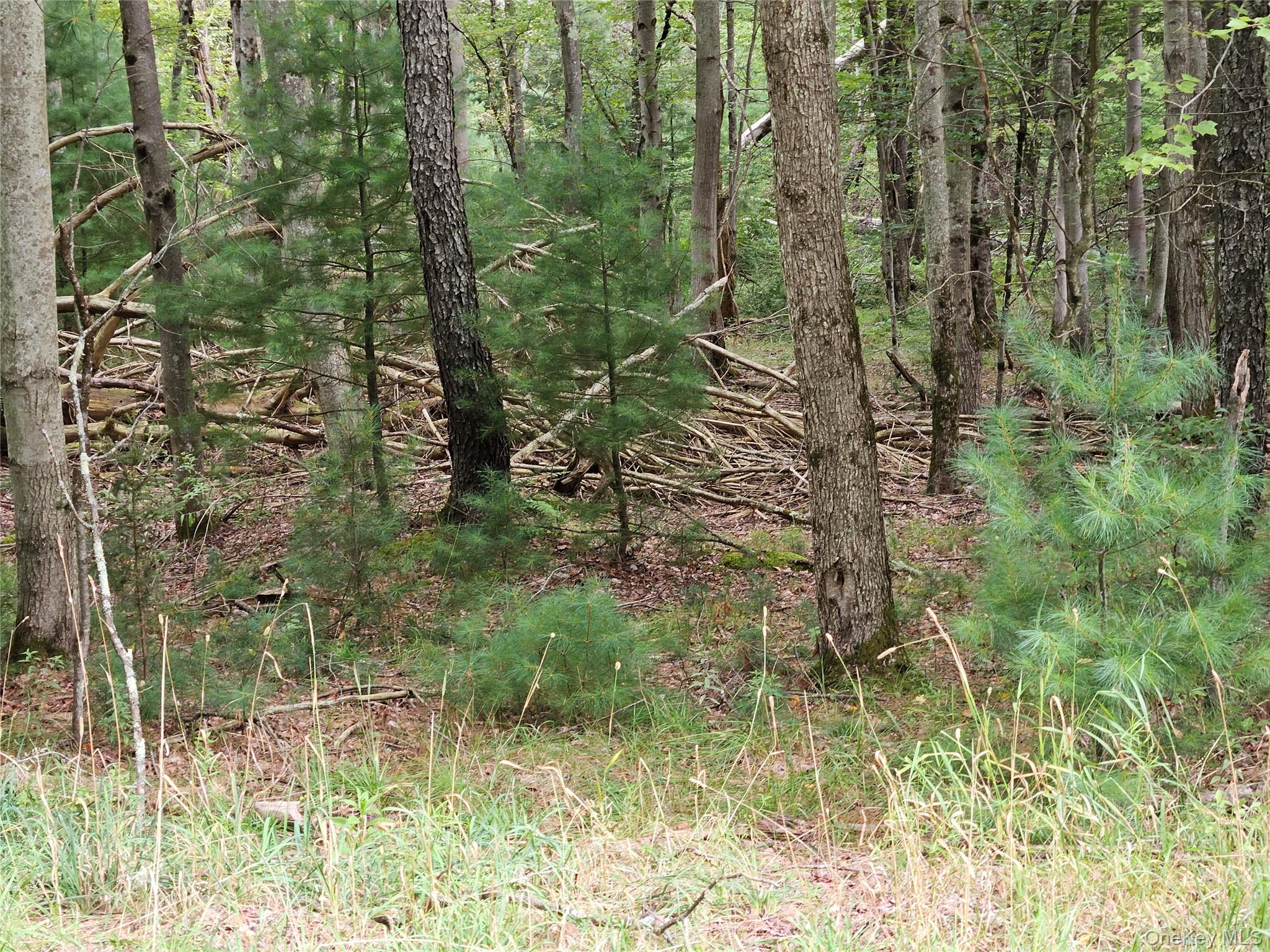 Flower Ave. & State Route 55 Property Photo 22
