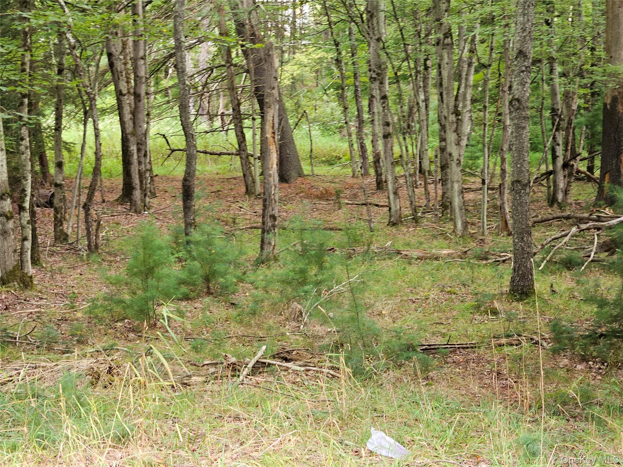Flower Ave. & State Route 55 Property Photo 24