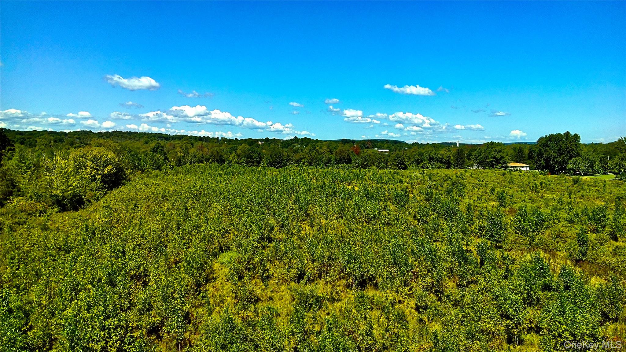 00 N Vernon Property Photo 1