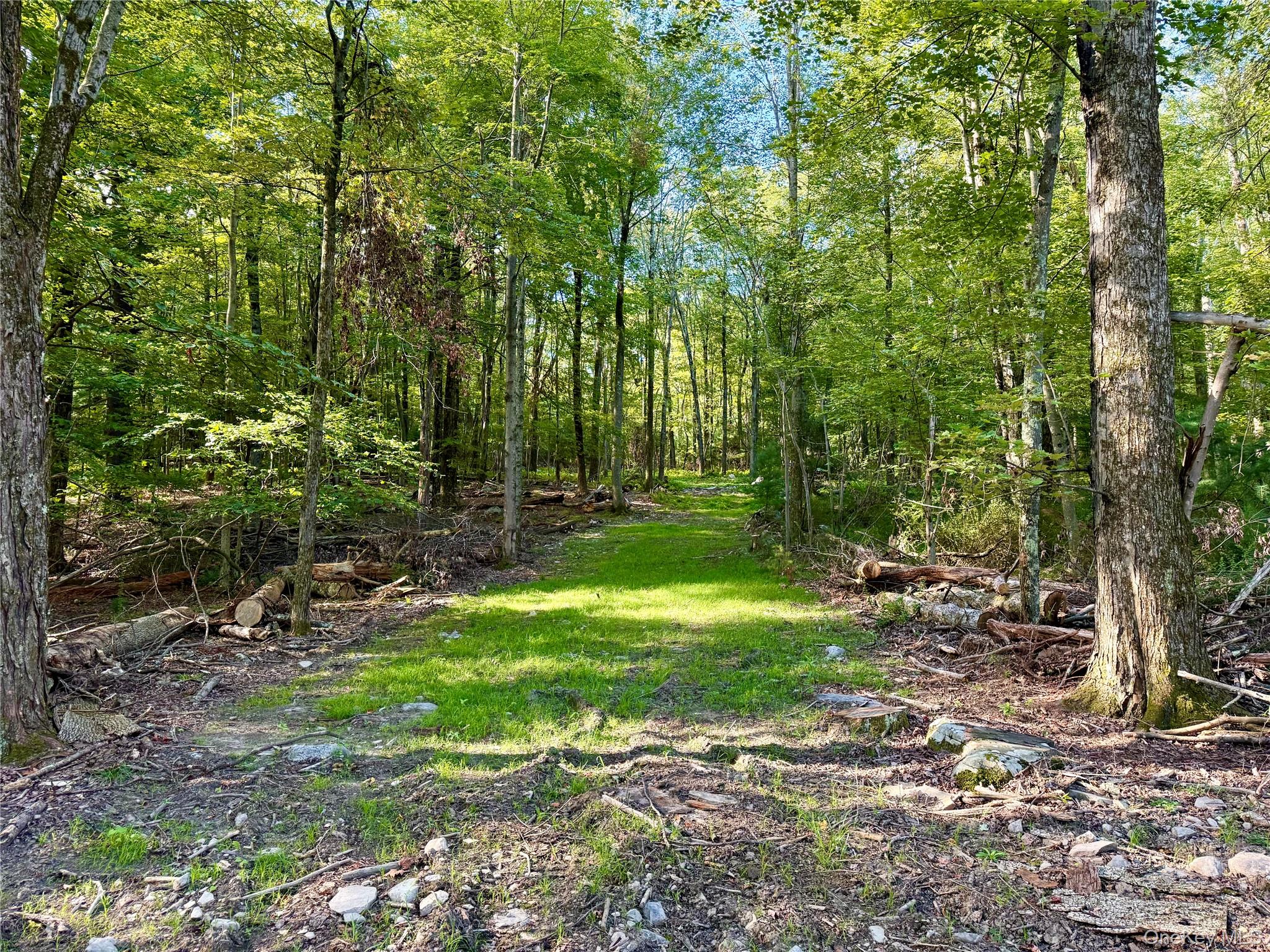 Mt Prosper Road Property Photo 1