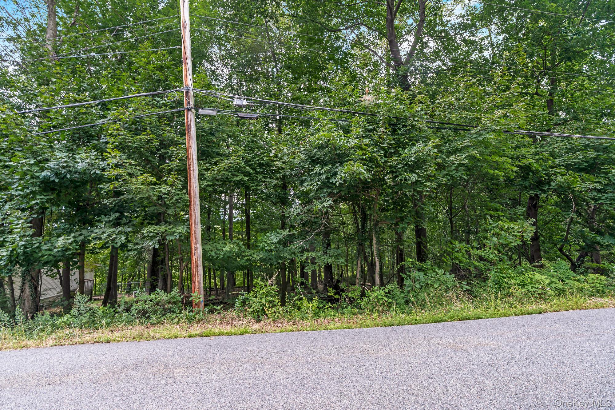 Sagamore Avenue Property Photo 3