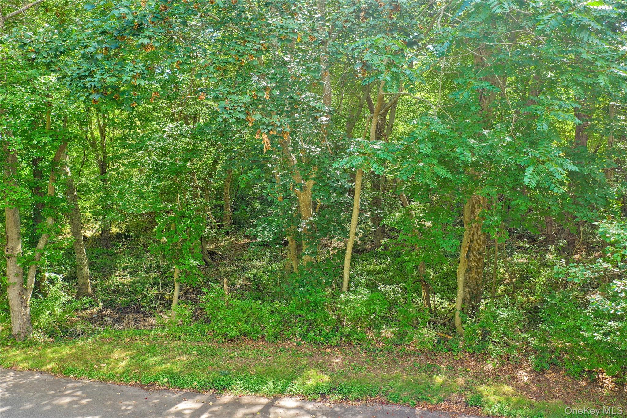 110 Homestead Way Property Photo 1